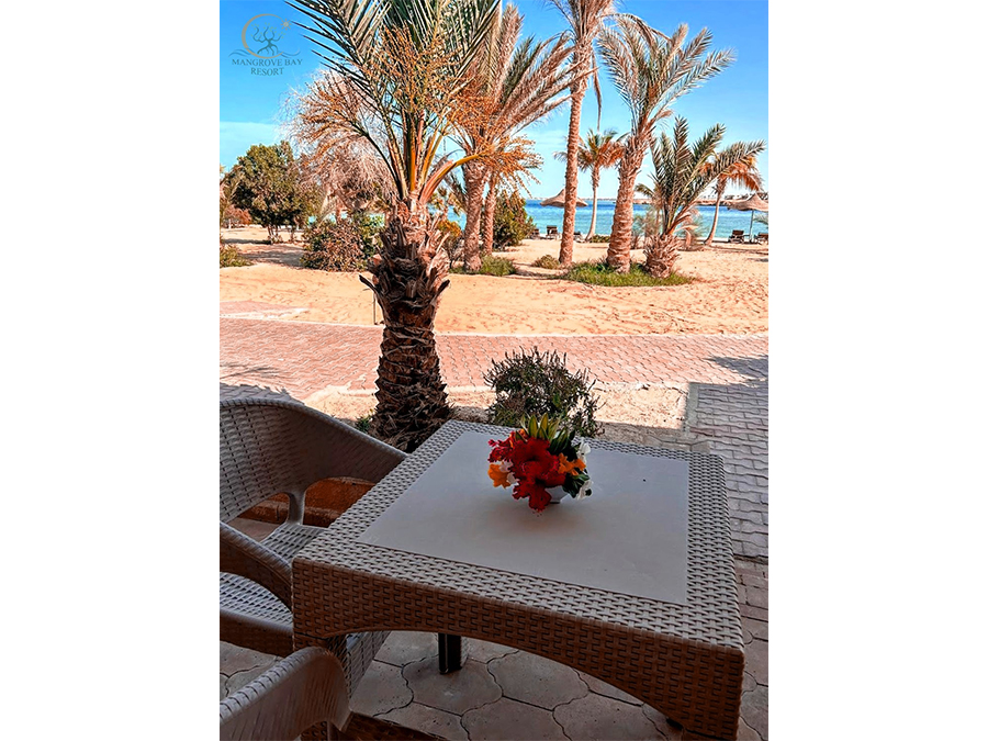 Mangrove Sea View room