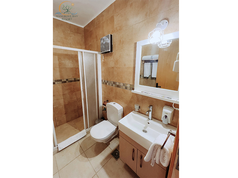 Mangrove Sea View room