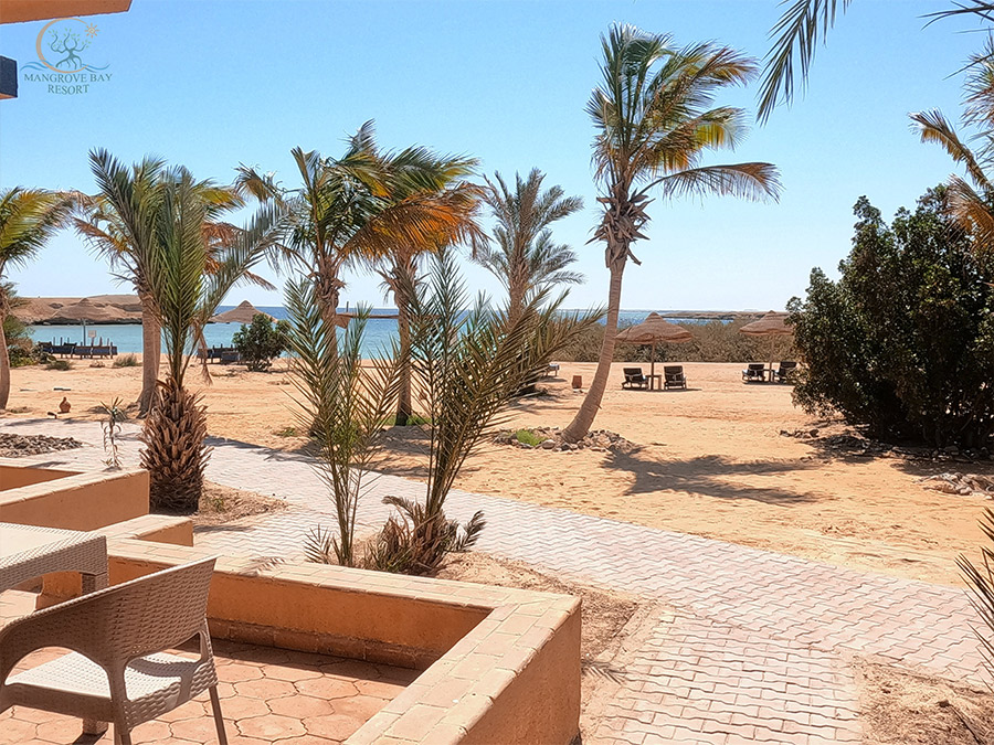 Mangrove Sea View room