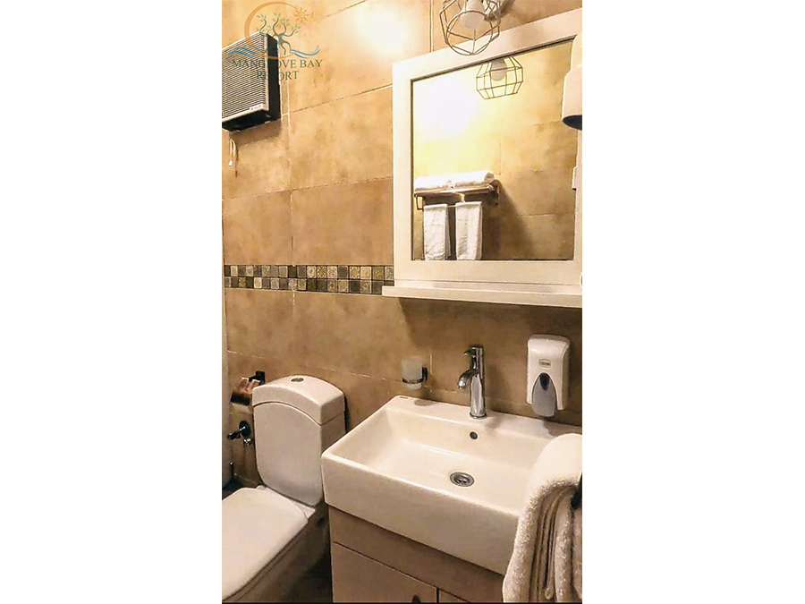 Mangrove Sea View room